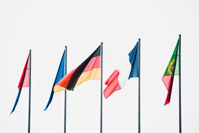 Five flags in a grey sky